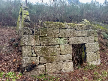 Quinta T0 para Venda em Bustelo, Carneiro e Carvalho de Rei
