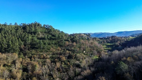Quinta T0 para Venda em Bustelo, Carneiro e Carvalho de Rei