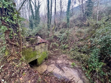 Quinta T0 para Venda em Bustelo, Carneiro e Carvalho de Rei