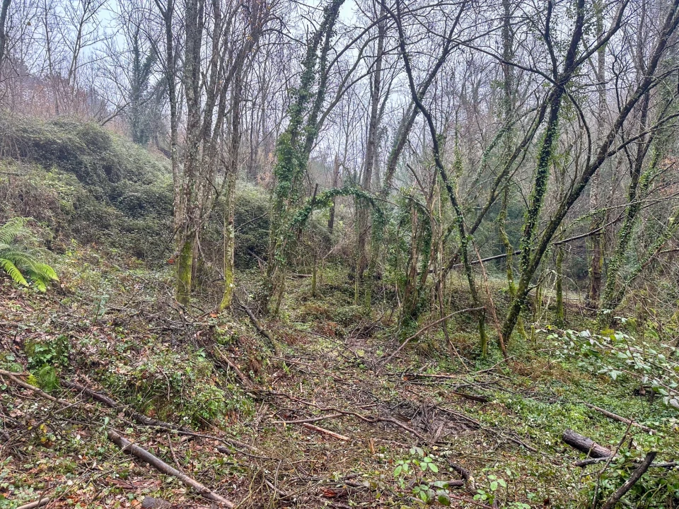 Quinta T0 para Venda em Bustelo, Carneiro e Carvalho de Rei Foto 18