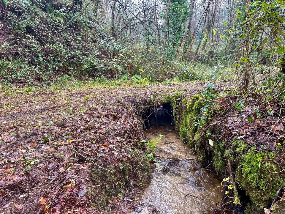 Quinta T0 para Venda em Bustelo, Carneiro e Carvalho de Rei Foto 8