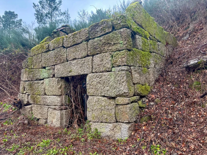 Quinta T0 para Venda em Bustelo, Carneiro e Carvalho de Rei Foto 9