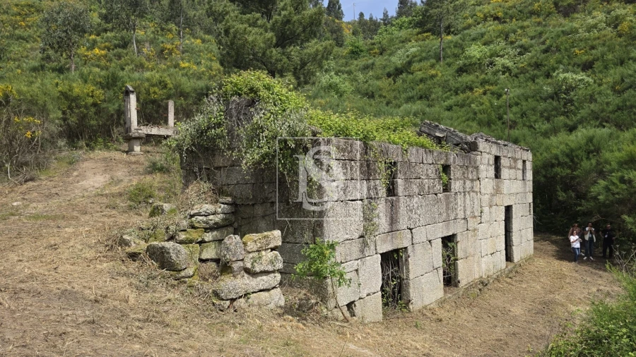 Quinta T0 para Venda em Bustelo, Carneiro e Carvalho de Rei Foto 2