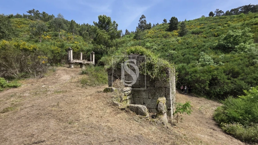 Quinta T0 para Venda em Bustelo, Carneiro e Carvalho de Rei Foto 4