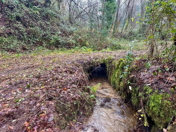 Quinta T0 para Venda em Bustelo, Carneiro e Carvalho de Rei Foto 8