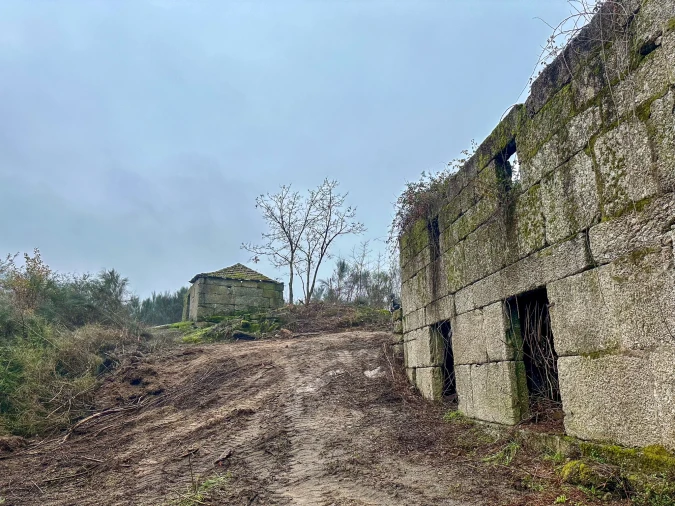 Quinta T0 para Venda em Bustelo, Carneiro e Carvalho de Rei Foto 14