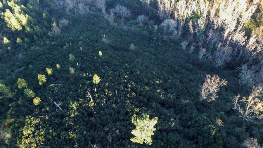 Quinta T0 para Venda em Bustelo, Carneiro e Carvalho de Rei Foto 19