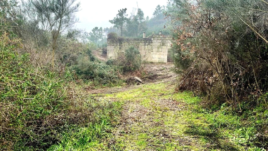 Quinta T0 para Venda em Bustelo, Carneiro e Carvalho de Rei Foto 6