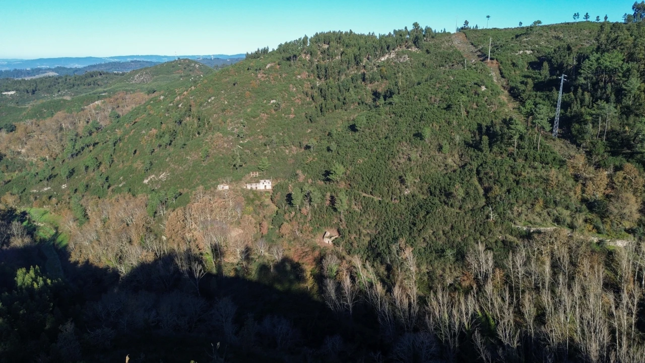 Quinta T0 para Venda em Bustelo, Carneiro e Carvalho de Rei Foto 21