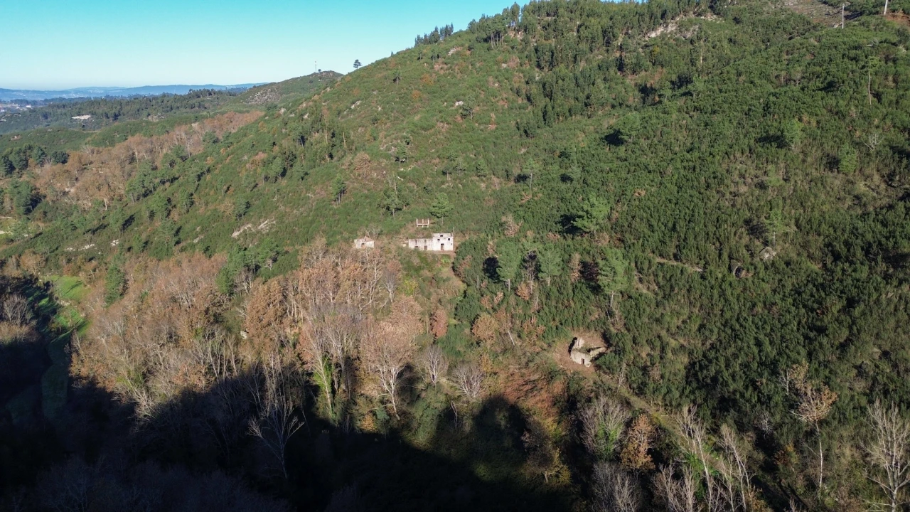 Quinta T0 para Venda em Bustelo, Carneiro e Carvalho de Rei Foto 1