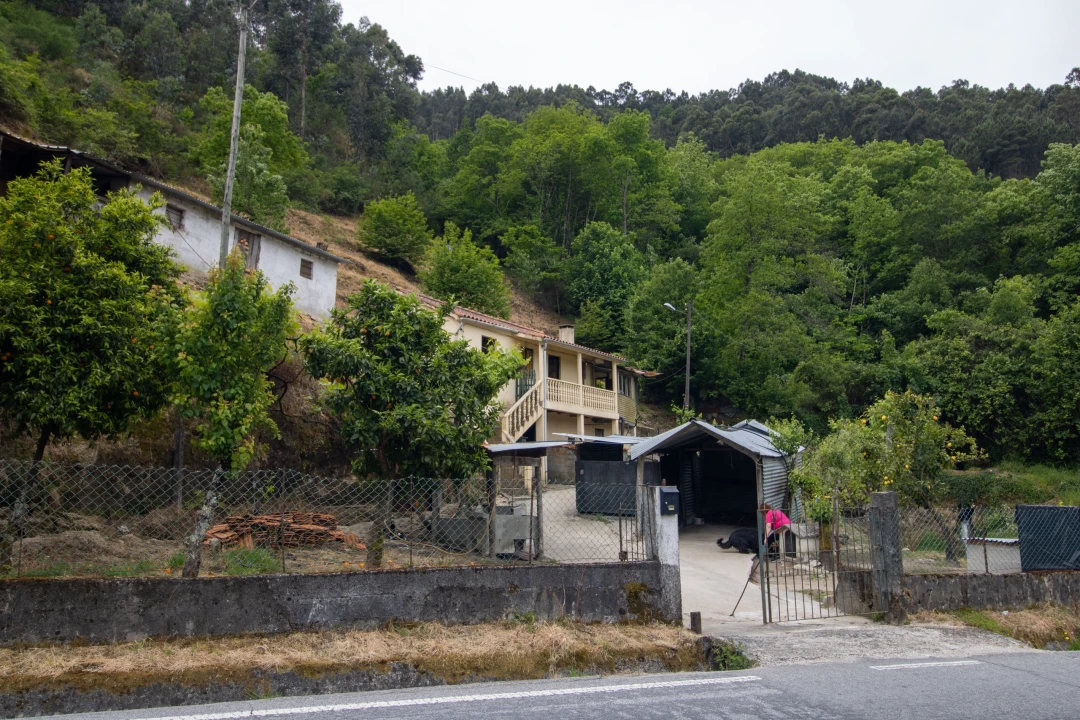 Moradia T2 para Venda em Bustelo, Carneiro e Carvalho de Rei Foto 27