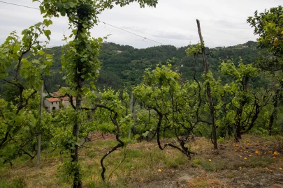 Moradia T2 para Venda em Bustelo, Carneiro e Carvalho de Rei