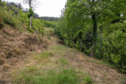 Moradia T2 para Venda em Bustelo, Carneiro e Carvalho de Rei
