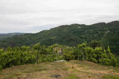 Moradia T2 para Venda em Bustelo, Carneiro e Carvalho de Rei