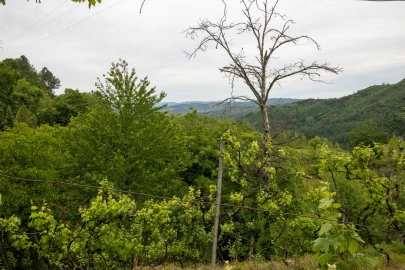 Moradia T2 para Venda em Bustelo, Carneiro e Carvalho de Rei