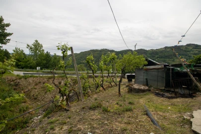 Moradia T2 para Venda em Bustelo, Carneiro e Carvalho de Rei