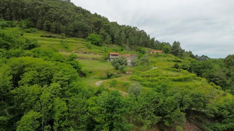 Moradia T2 para Venda em Bustelo, Carneiro e Carvalho de Rei
