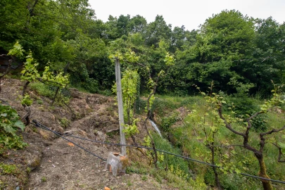 Moradia T2 para Venda em Bustelo, Carneiro e Carvalho de Rei