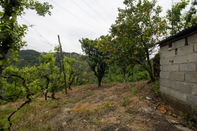 Moradia T2 para Venda em Bustelo, Carneiro e Carvalho de Rei