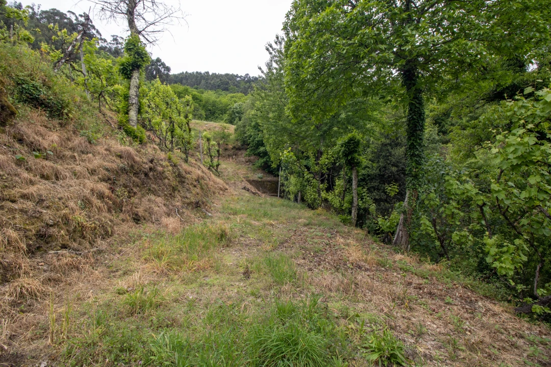 Moradia T2 para Venda em Bustelo, Carneiro e Carvalho de Rei Foto 34