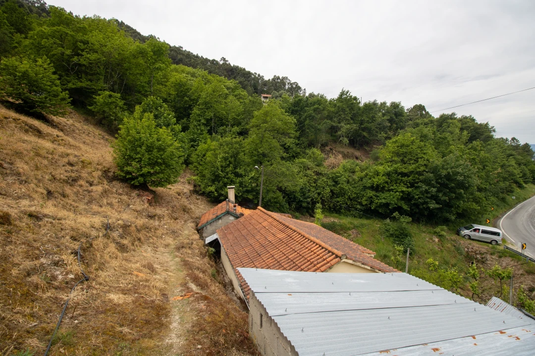 Moradia T2 para Venda em Bustelo, Carneiro e Carvalho de Rei Foto 29