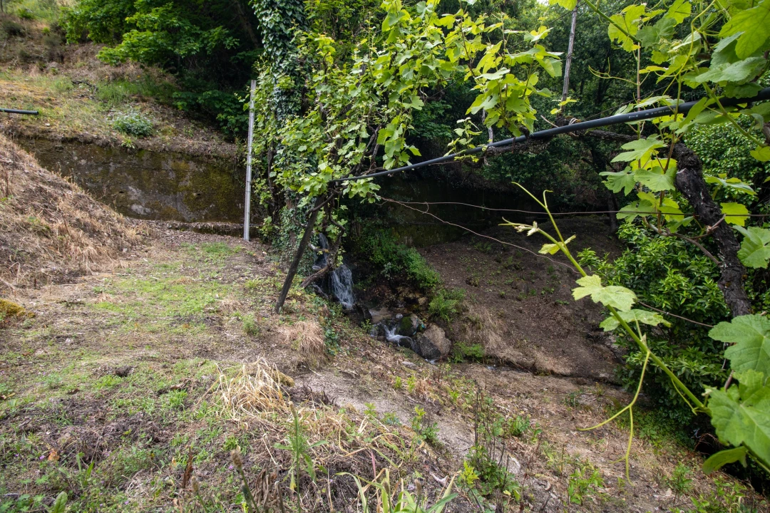 Moradia T2 para Venda em Bustelo, Carneiro e Carvalho de Rei Foto 36
