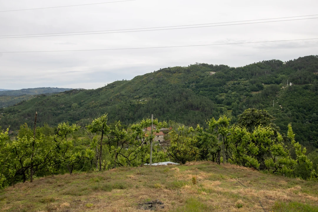Moradia T2 para Venda em Bustelo, Carneiro e Carvalho de Rei Foto 33