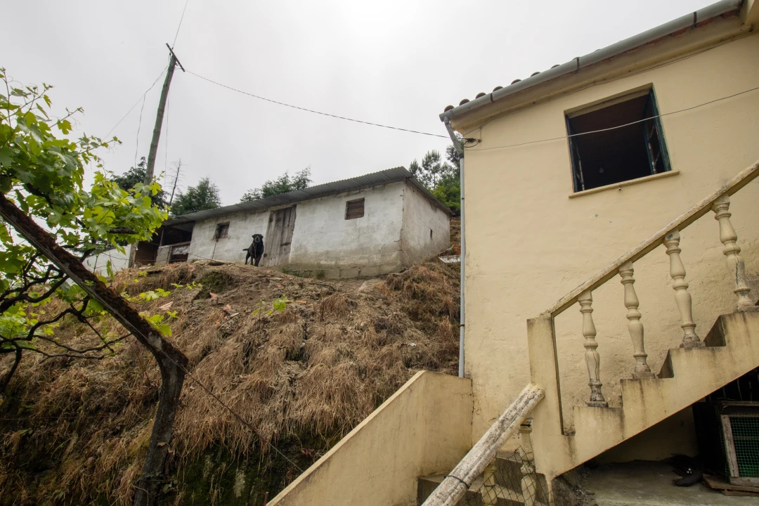 Moradia T2 para Venda em Bustelo, Carneiro e Carvalho de Rei Foto 28