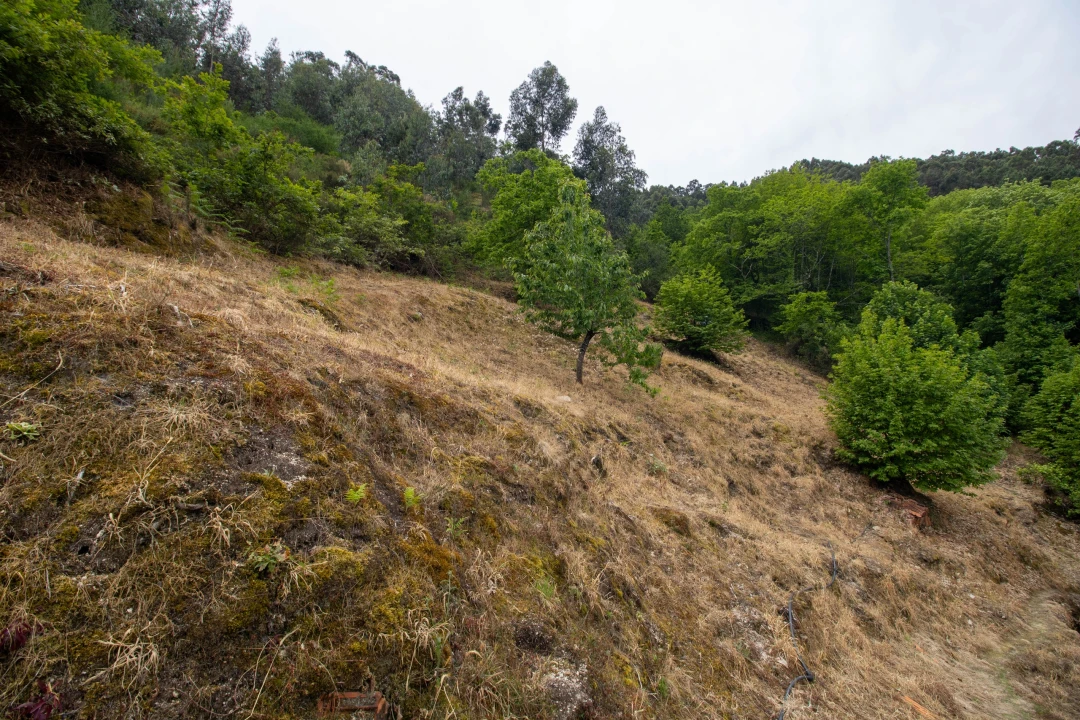 Moradia T2 para Venda em Bustelo, Carneiro e Carvalho de Rei Foto 26