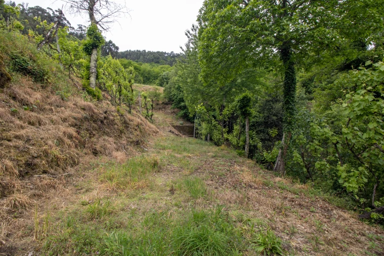 Moradia T2 para Venda em Bustelo, Carneiro e Carvalho de Rei Foto 34
