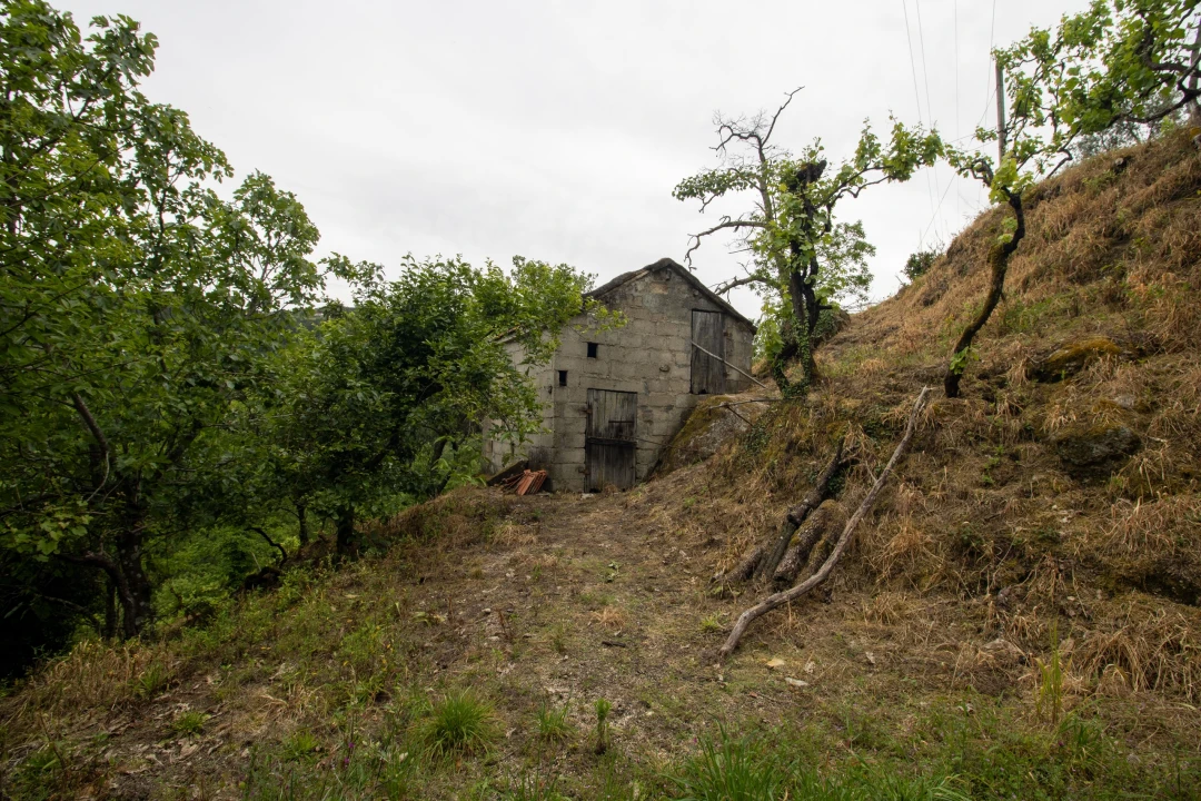 Moradia T2 para Venda em Bustelo, Carneiro e Carvalho de Rei Foto 37