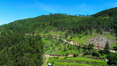 Moradia T2 para Venda em Aboadela, Sanche e Várzea