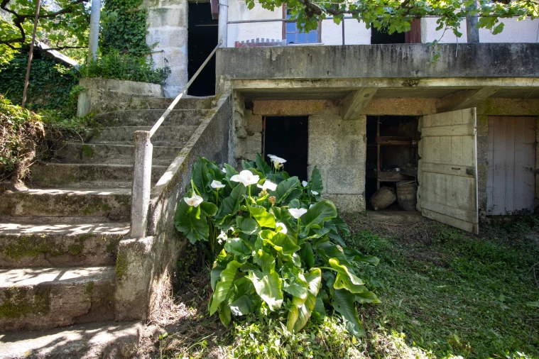 Moradia T2 para Venda em Aboadela, Sanche e Várzea Foto 18