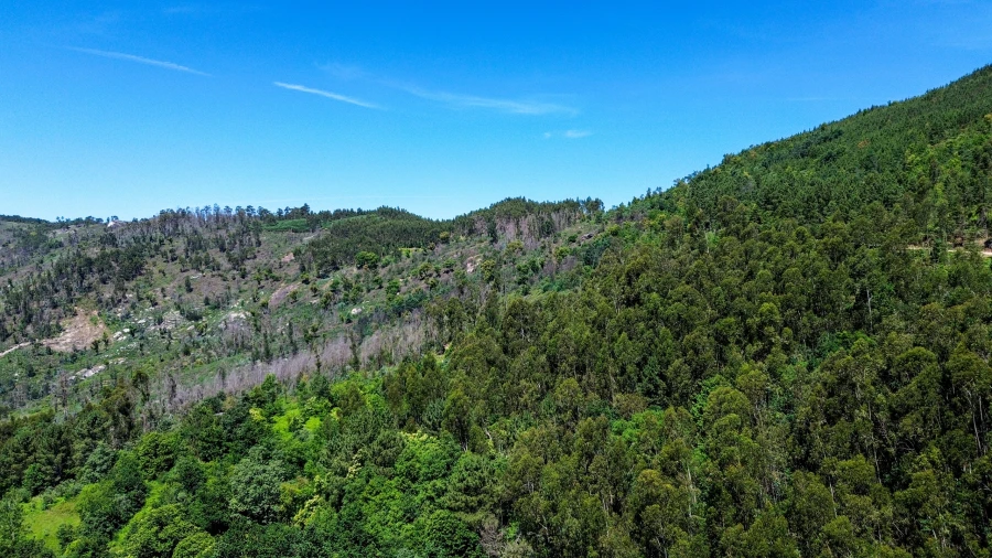 Moradia T2 para Venda em Aboadela, Sanche e Várzea Foto 26