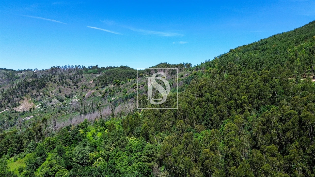 Moradia T2 para Venda em Aboadela, Sanche e Várzea Foto 22