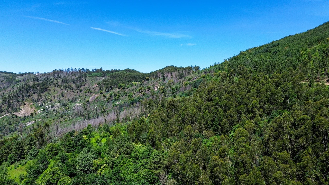 Moradia T2 para Venda em Aboadela, Sanche e Várzea Foto 26