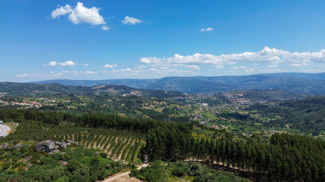 Terreno para Venda em Soalhães Foto 11