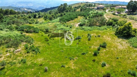 Terreno para Venda em Soalhães