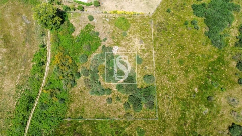 Terreno para Venda em Soalhães