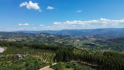 Terreno para Venda em Soalhães