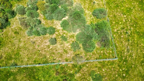 Terreno para Venda em Soalhães