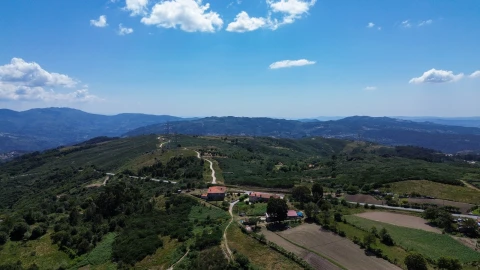 Terreno para Venda em Soalhães