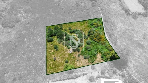 Terreno para Venda em Soalhães