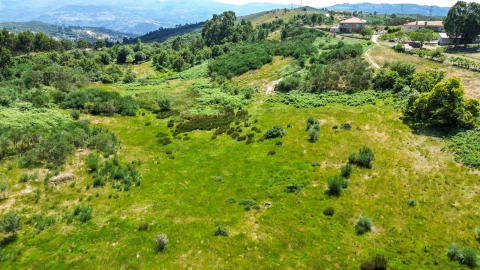 Terreno para Venda em Soalhães