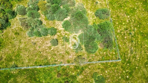 Terreno para Venda em Soalhães