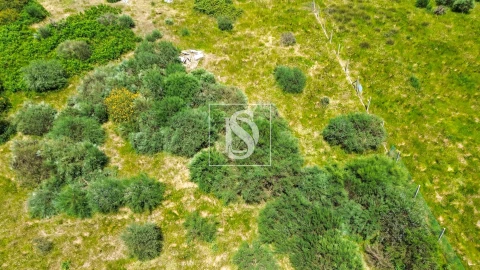 Terreno para Venda em Soalhães