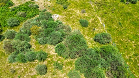 Terreno para Venda em Soalhães