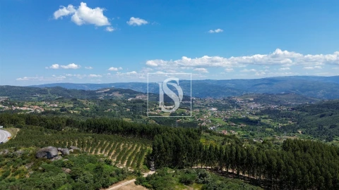 Terreno para Venda em Soalhães