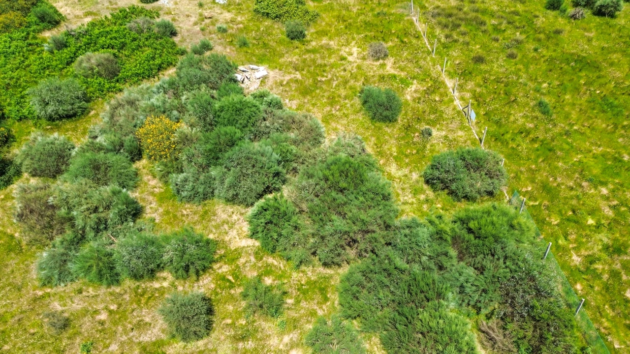 Terreno para Venda em Soalhães Foto 10