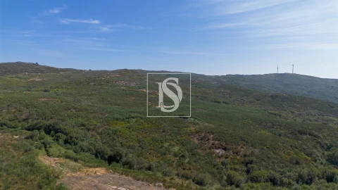 Terreno para Venda em Gouveia (São Simão)